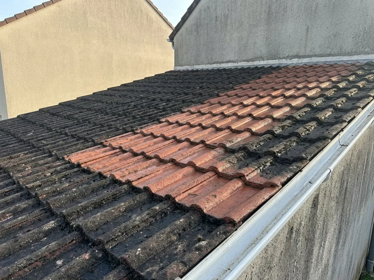Démoussage de toiture à Torcy
